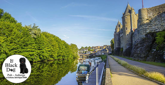 Le Black Dog Pub Saint_Aignan - Restaurant Bar close to me